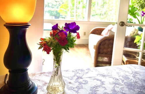 Hawi Cama Y Desayuno | Vegan Palace Suite @ Aloha Boutique Hotel / Alchohol-free, smoke-free