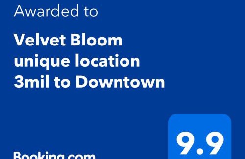 East Naples Casa | Velvet Bloom unique location 3mil to Downtown
