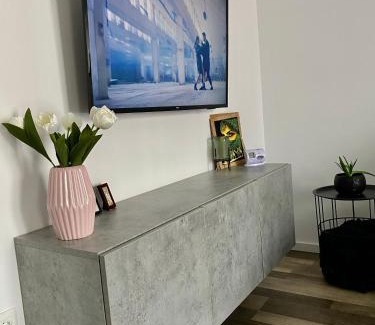 Tirgu Mures Apartamento | Velvet Studio