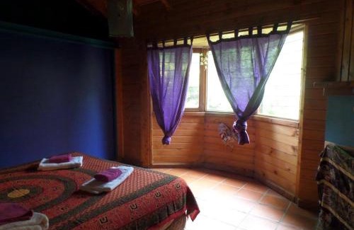 El Bolsón Apartamento | Verde Bosque