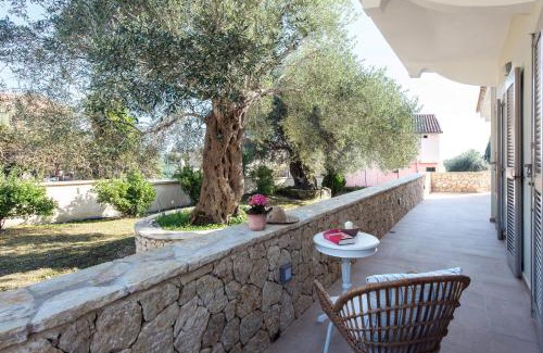 Kato Korakiana Casa | Verde Olive Three-Bedroom Holiday Home by Konnect
