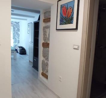 Rijeka Apartamento | verdi vintage