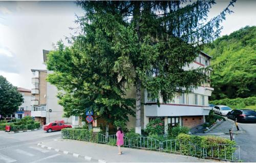 Ramnicu Valcea Apartamento | VERO APARTAMENT CENTRAL RM VALCEA