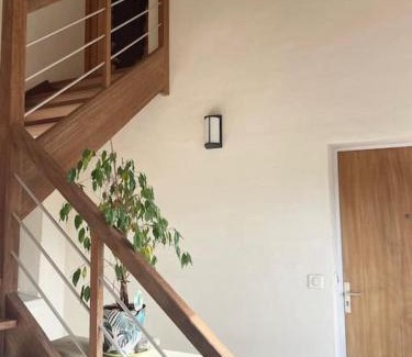 Salies-de-Bearn Apartamento | VERT ANIS- Appartement T2 lumineux, très bien équipé, proche centre-ville