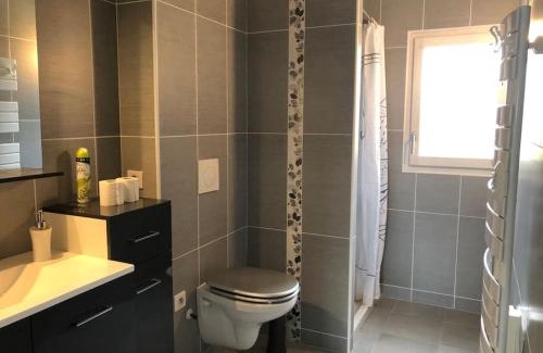 Salies-de-Bearn Apartamento | VERT ANIS- Appartement T2 lumineux, très bien équipé, proche centre-ville