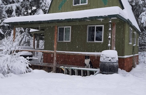 Port Angeles Cabina | Very private artist studio cabin in the Olympic National Park. Beautiful Views!