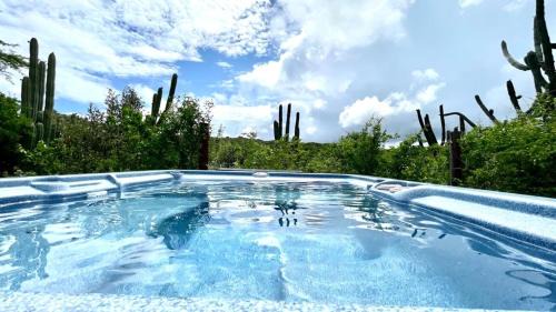 Savaneta Apartamento | Very quiet apartment with lots of privacy and a tub on the edge of a national park!