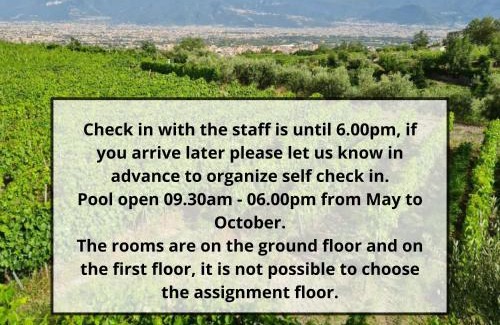 Mount Vesuvius - Pompei Casa | Vesuvio Inn Bed & Wine Experience