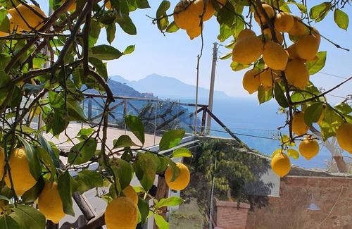 Pagani Apartamento | VESUVIUS HOUSE