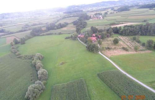 Brezice Apartamento | Vetrovi šumijo I