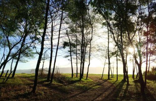 Pacitan Casa | VH Surf Camp