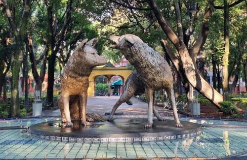 Coyoacán Apartamento | Viñedito del coyote, Coyoacán
