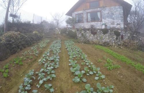 Sa Pa Chalet De Esquí | Vi's House - Nature in the middle of Hmong village
