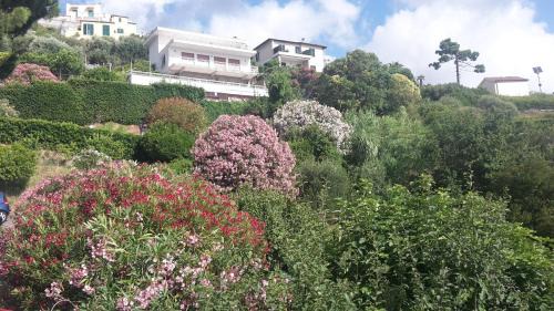 Torbora Casa | Via dei Ginepri