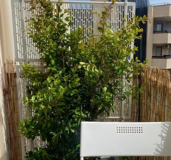 Sassari Apartamento | Via Roma a un passo dalle università!