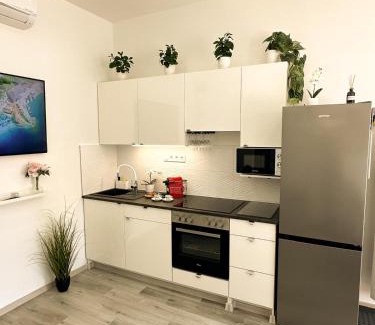 Szekesfehervar Apartamento | VIBE S31 Apartman ,AC,Free Parking