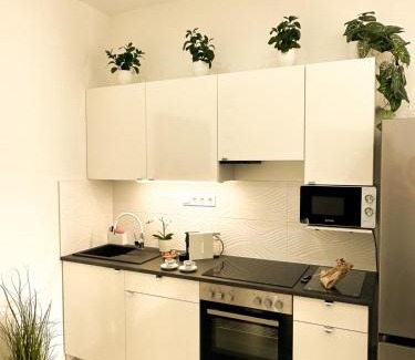 Szekesfehervar Apartamento | VIBE S32 Apartman,AC,Free Parking