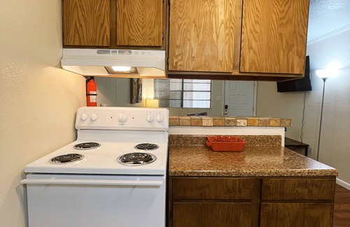 Monahans Apartamento | Vibrant 1BR Apartment, Pet-Friendly!