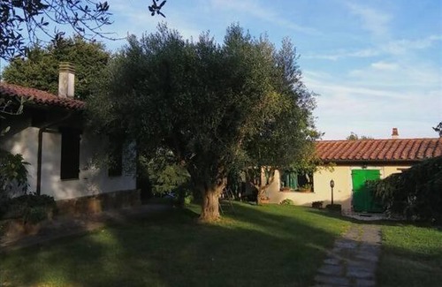 Bomarzo Casa | vicino Vicino