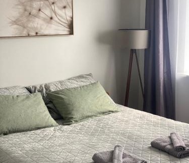 Narva Apartamento | Victoria apartment