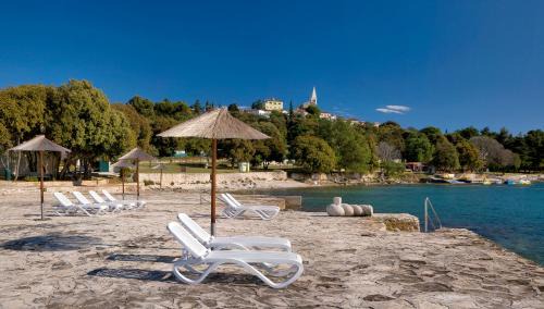 Municipality of Vrsar Complejo | Victoria Mobilehome in Orsera Camping Resort