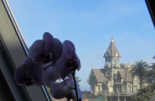 Downtown Casa | Victorian Mansion at Carter House Inns