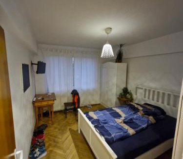 Centrul Nou Apartamento | Victoriei Residence