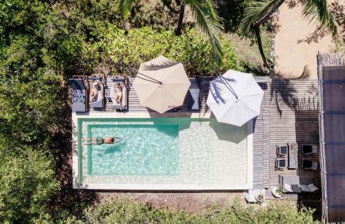 Zona Hotelera Cabina | Vida Silvestre
