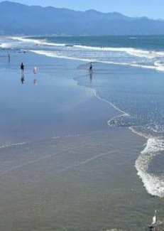 Nuevo Vallarta Complejo | Vida Vidante