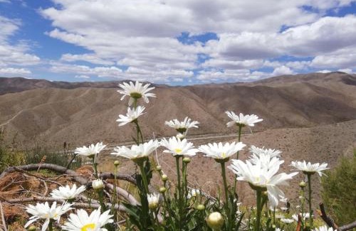 Potrerillos Chalet De Esquí | Vidatierra