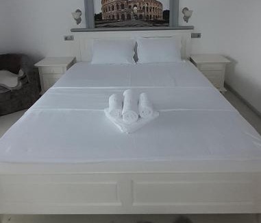 Vidra Casa | Vidra Dacica