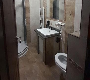 Vidra Casa | Vidra Dacica