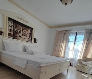 Vidra Casa | Vidra Dacica