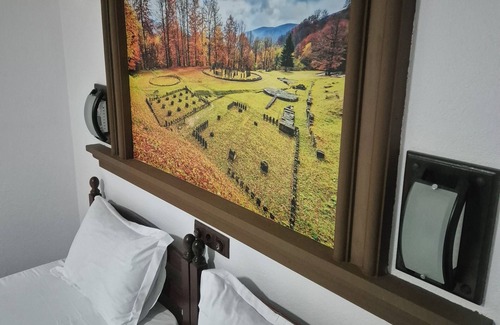 Vidra Casa | Vidra Dacica
