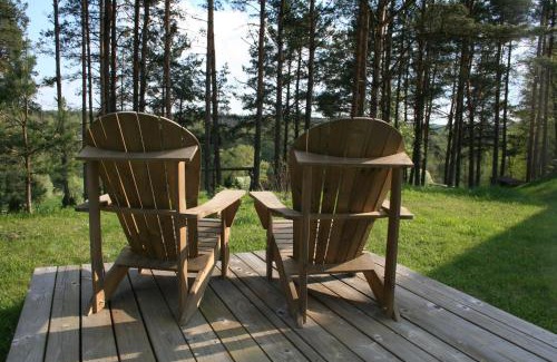 Alytus county Cabina | Vienkiemis prie Merkinės