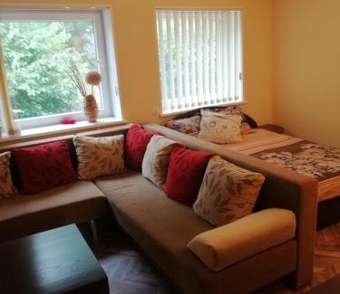 Kintai Apartamento | Vieno kambario butas