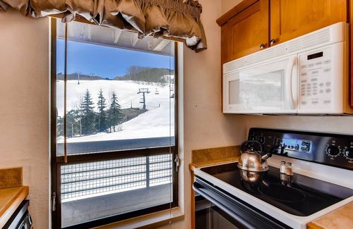 Crested Butte Condominio | View Of Mt Crested Butte- 1 Br 1 Bedroom Condo - No Cleaning Fee! by RedAwning