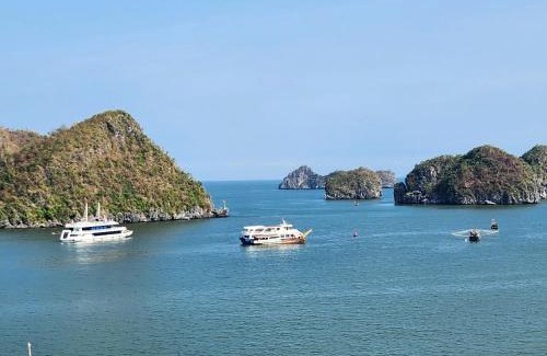 Cat Hai Hotel | View Point - Anh Quan