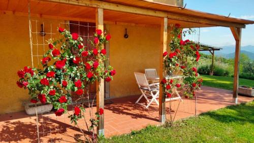 Anghiari Apartamento | Vigna del Poggio