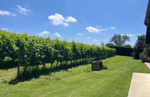Costigliole d'Asti Apartamento | Vigne dei Mastri