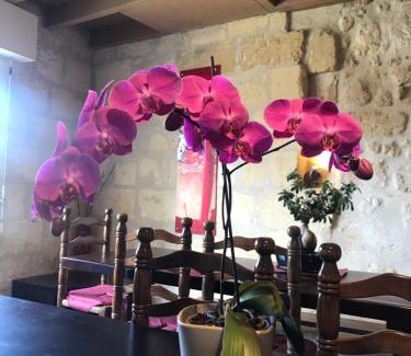 Saint-Emilion Cama Y Desayuno | Vignobles Fabris