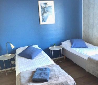 Jalasjarvi Apartamento | Viihtyisä Kerrostalo yksiö hissitalossa