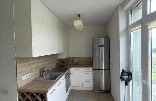 Kaunas Apartamento | Vijukai