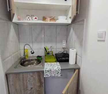 Central Serbia Apartamento | Vikendica Aki
