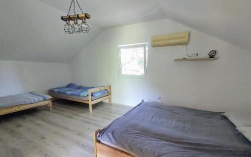 Vojvodina Casa | Vikendica Hlad borova Apatin