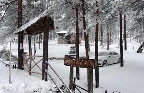 Divcibare Casa | Vikendica Martinović