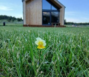 Blidinje Nature Park Chalet De Esquí | Vikendica Planinski san Blidinje