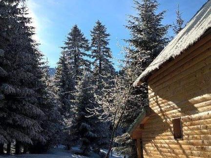 Jahorina Casa | Vikendica Teodora