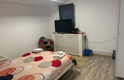 Cluj-Napoca Apartamento | Viking Apartment Grigo