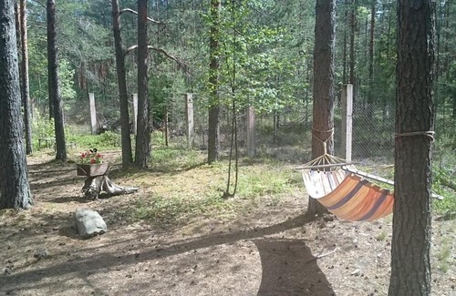 Krasno Casa | Viking House (Yagodnoye)